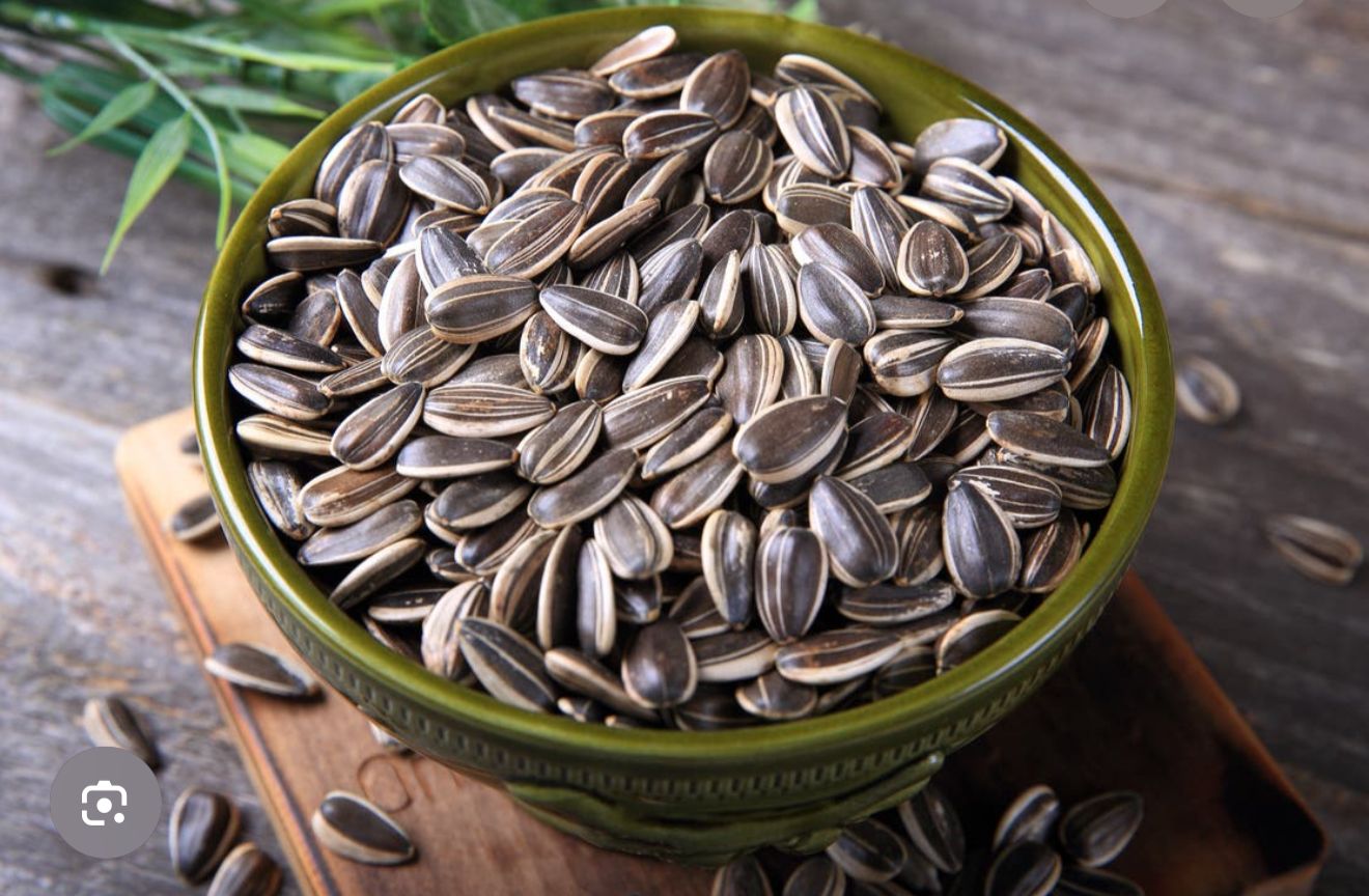 بزر دوار الشمس